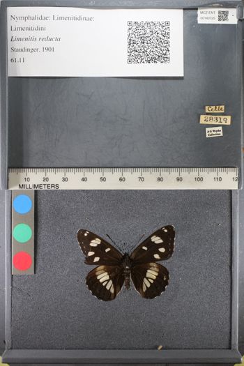 Media type: image;   Entomology 140725